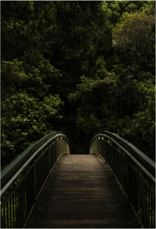 We bridge buyers and sellers, connecting them with the best sources to fulfill their needs